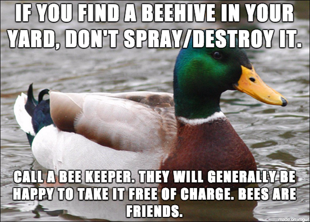 Bee kind