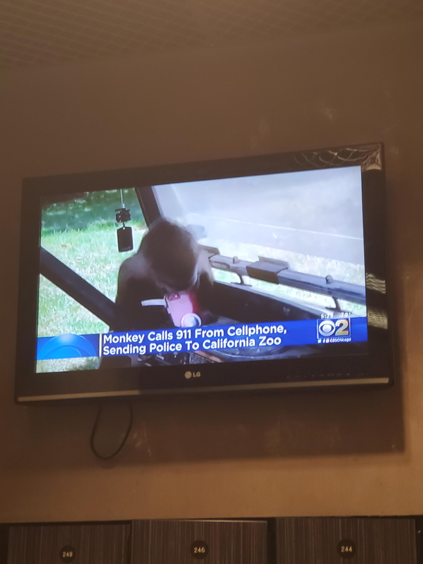 Been a slow day for news