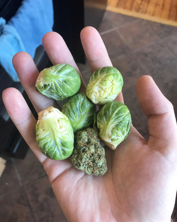 been on a huge brussels sprouts kick lately