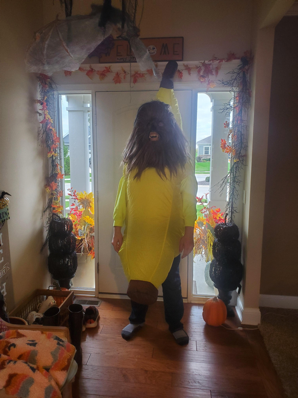 Been seeing alot of costumes so heres my  cents