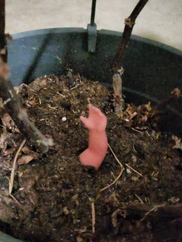 Been trying for a family My wife just handed me this Apparently were growing a baby