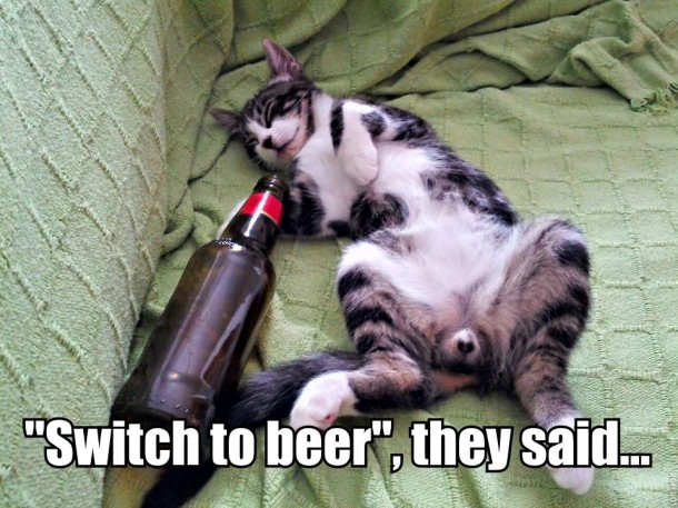Beer cat likes beer