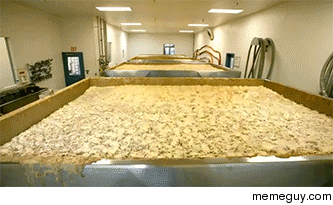 Beer Fermentation Time Lapse