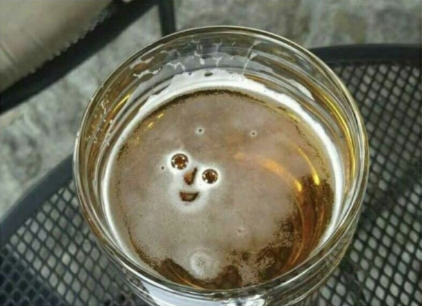 Beer is your friend