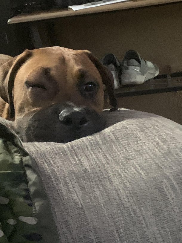 Bees are not my friend  