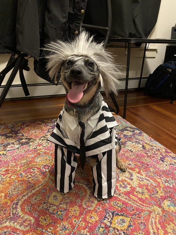 Beetlejuice Beetlejuice Beetlejuice