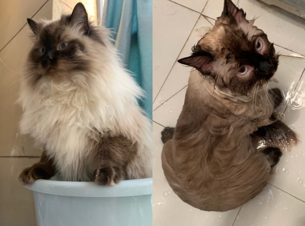 Before amp After a shower