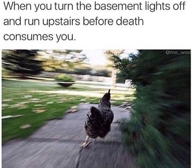 BEFORE THE DEMONS CATCH US