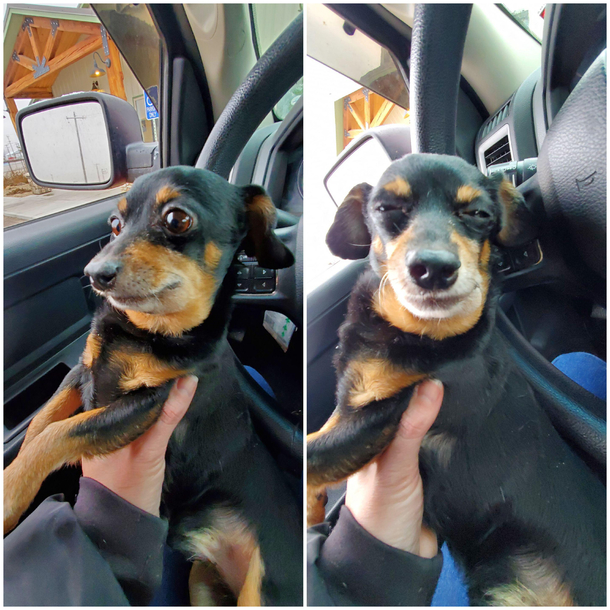 Before vet After the good meds