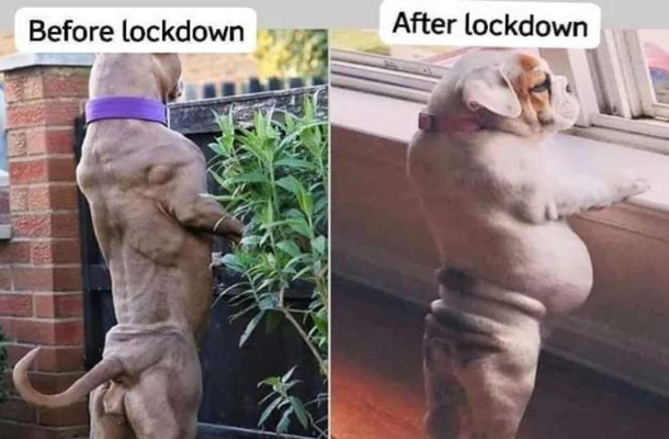 Before vs After Lockdown