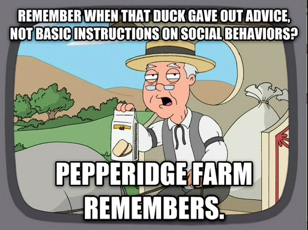 Behavioral Instructions Duck