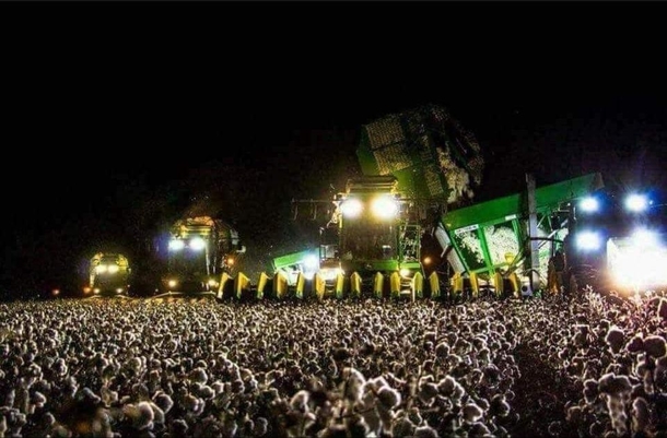 Behold one of the biggest rock concert evernope its just a machine collecting cotton
