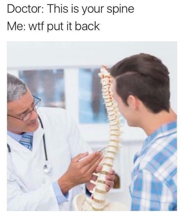 Behold your spine