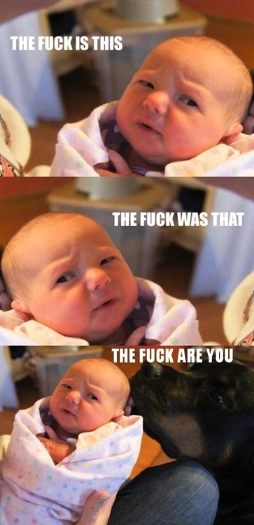 Being a baby must be very confusing