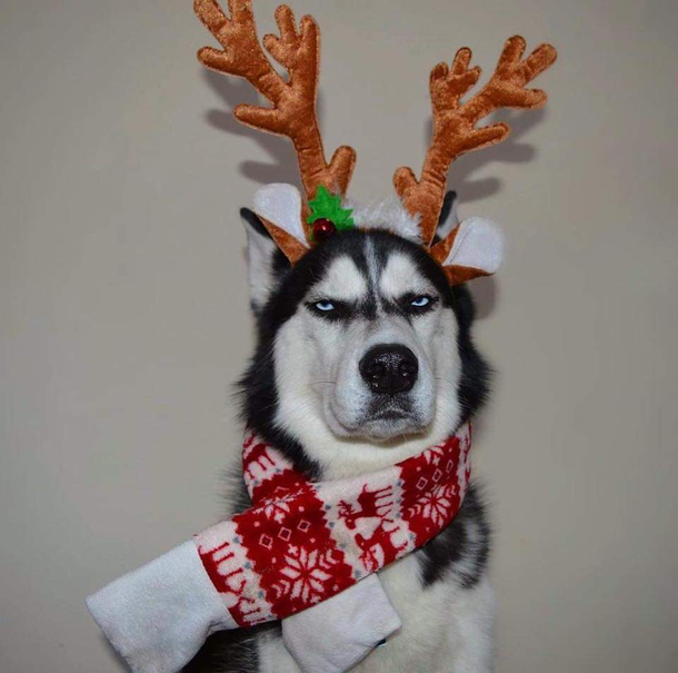 Being forced to dress up for Christmas at the job you hate
