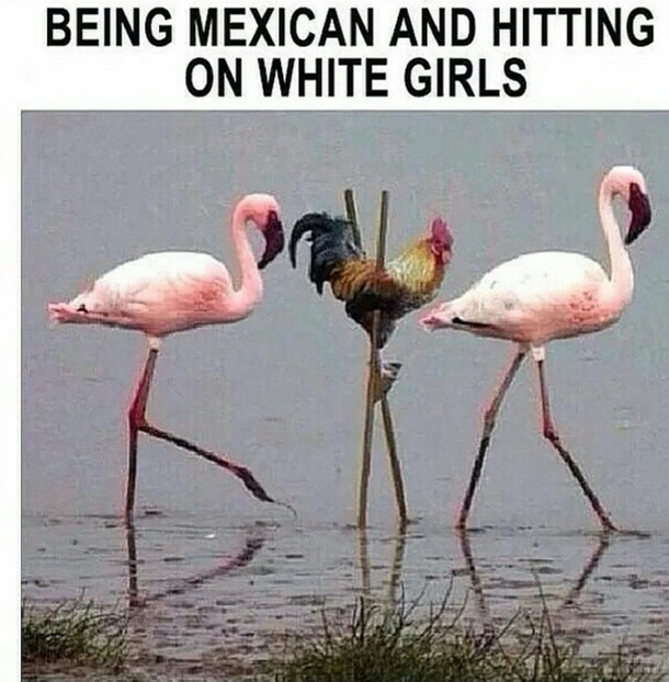 Being Mexican I can confirm