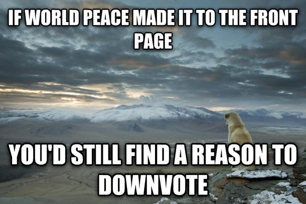 Being on Reddit I can say this without doubt