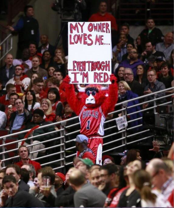 Benny the Bulls reaction to Donald Sterling