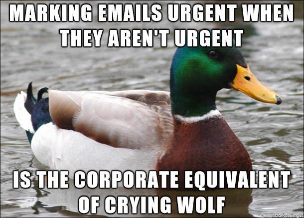 Best advice I can give someone new to the work force for dealing with the higher ups in their company