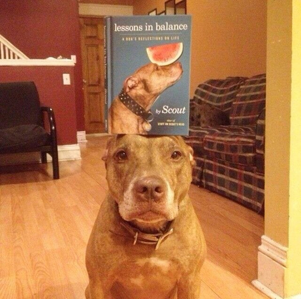 Best Balancing act