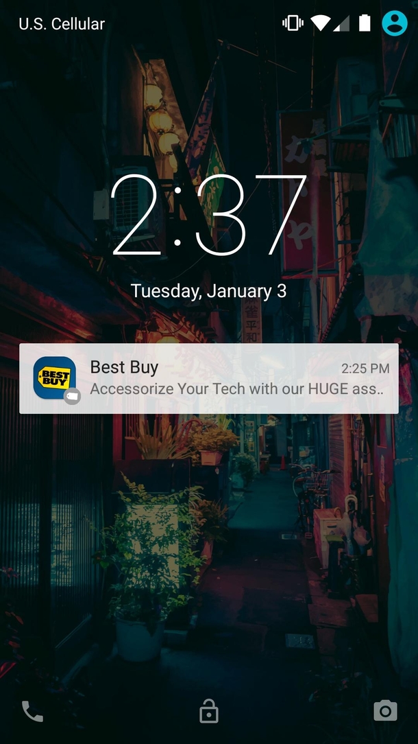 Best Buys Big Bottom