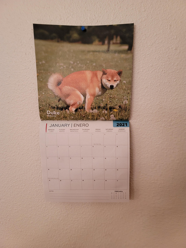 Best Calendar Ever