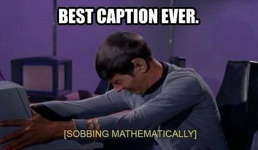 Best caption ever
