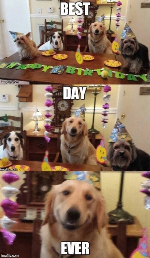 Best Day Ever