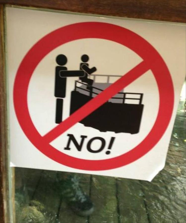 Best do not feed the animals sign ever
