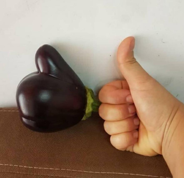 Best eggplant ever 