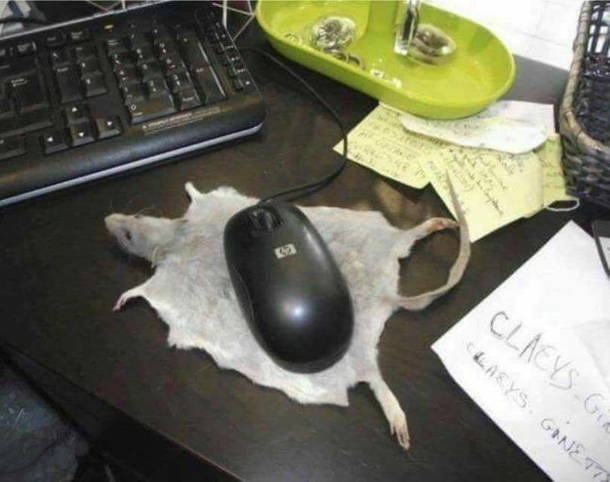 Best Gaming Mouse Pad   