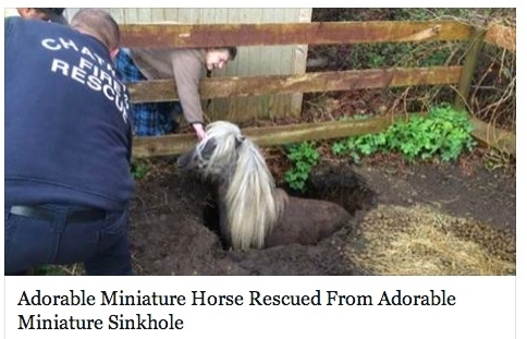 Best headline ever