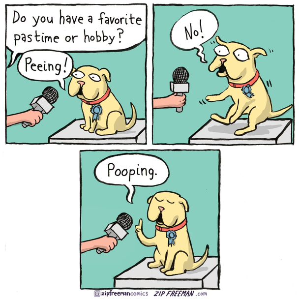 Best in Show 
