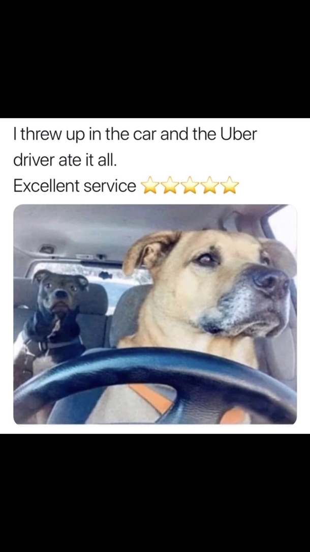 Best service