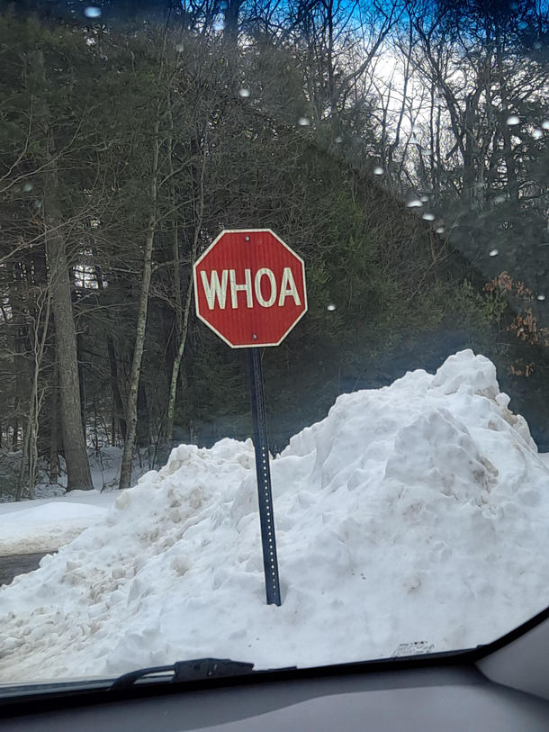 Best stop sign ever