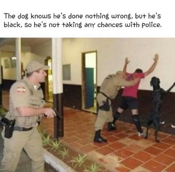 Better safe than sorry