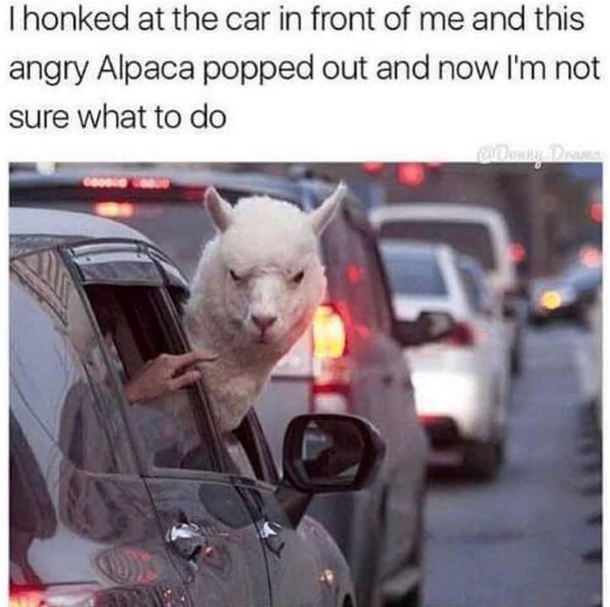Better watch out