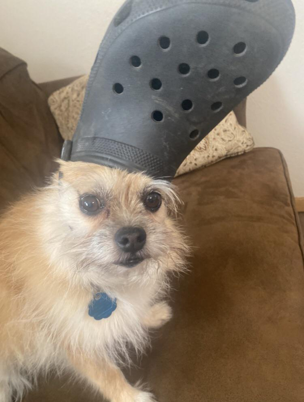 Betty Croc-er