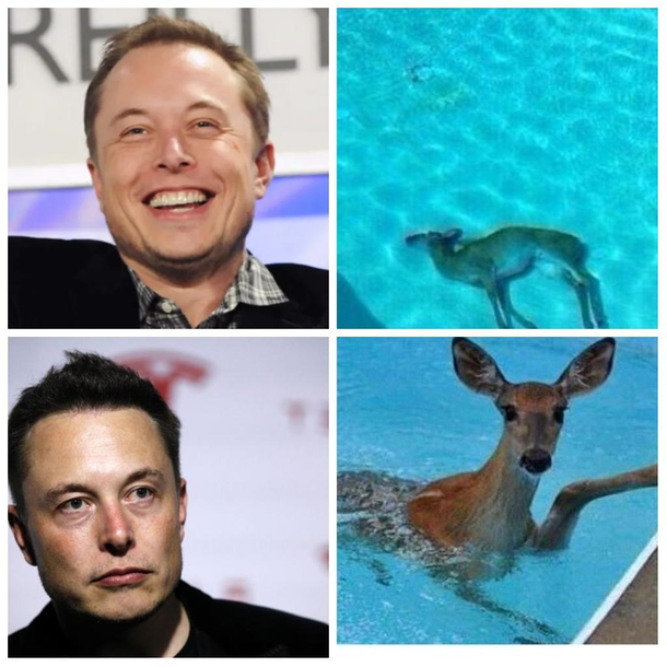 Beware Elon hes coming