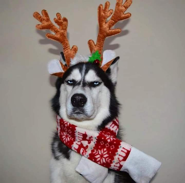 Beware of any coal in your stocking