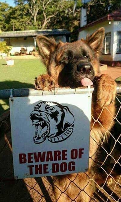 Beware of derp