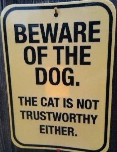 Beware of dog