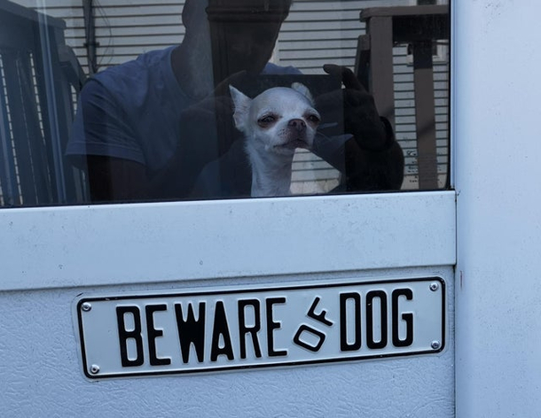 Beware of Dog