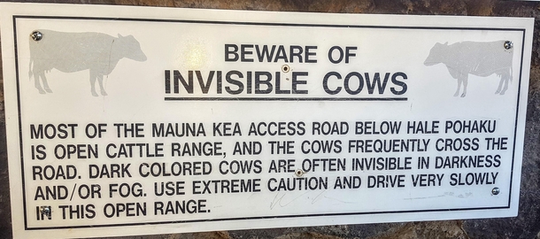 BEWARE OF INVISIBLE COWS Yup they exist _o