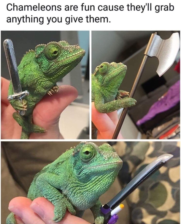 Beware of the mighty warrior