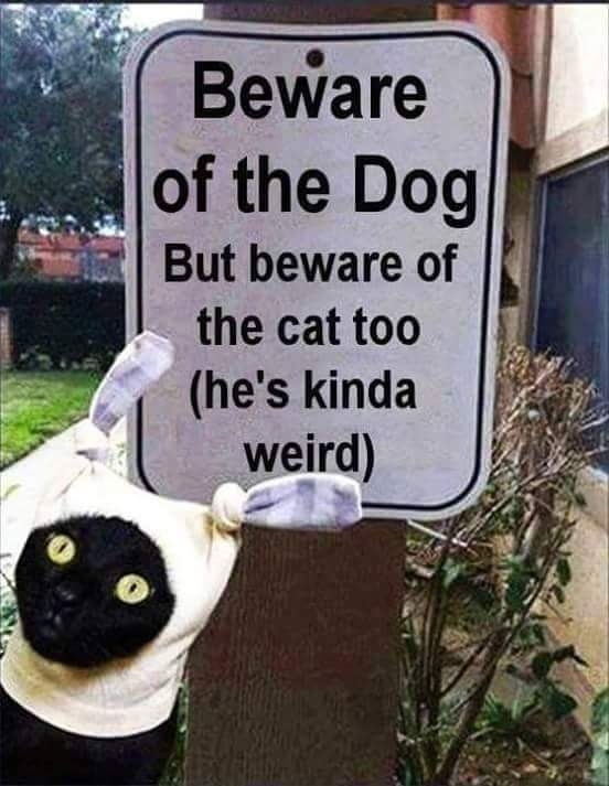 Beware ot the dog