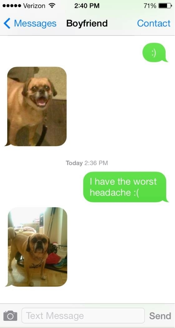 BF met an expressive dog and now uses photos of him instead of emojis