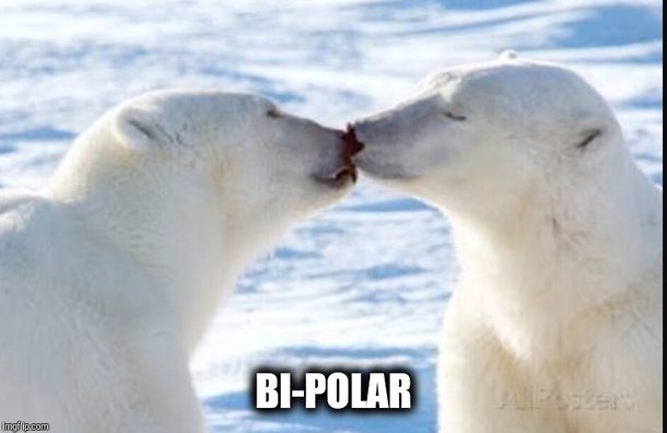 BI-POLAR