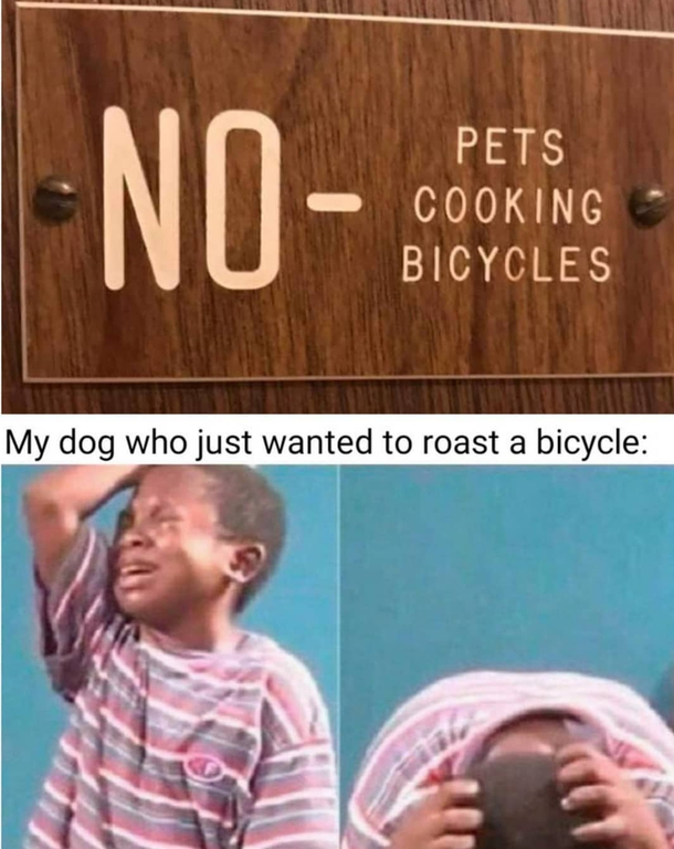Bicycles arent that tasty anyways