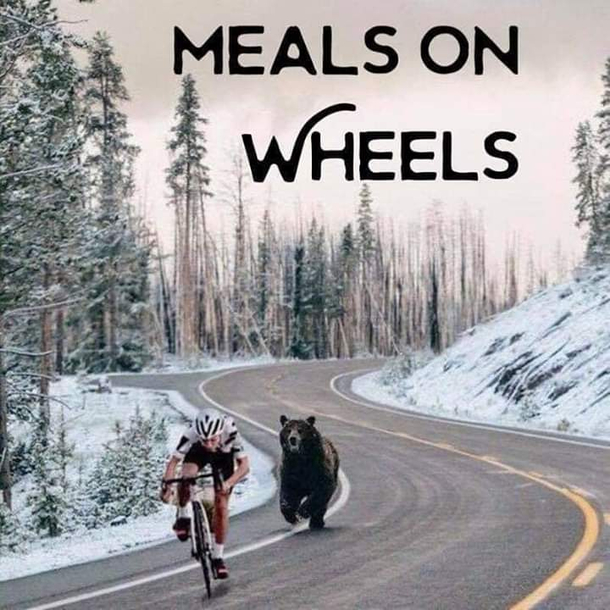 Big bear